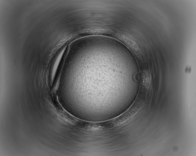 X0000098220206200805011242