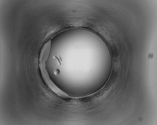 X0000098220207200805011242