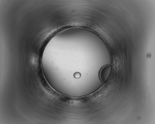 X0000098220208200805011242