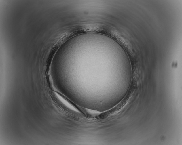 X0000098220209200805011242