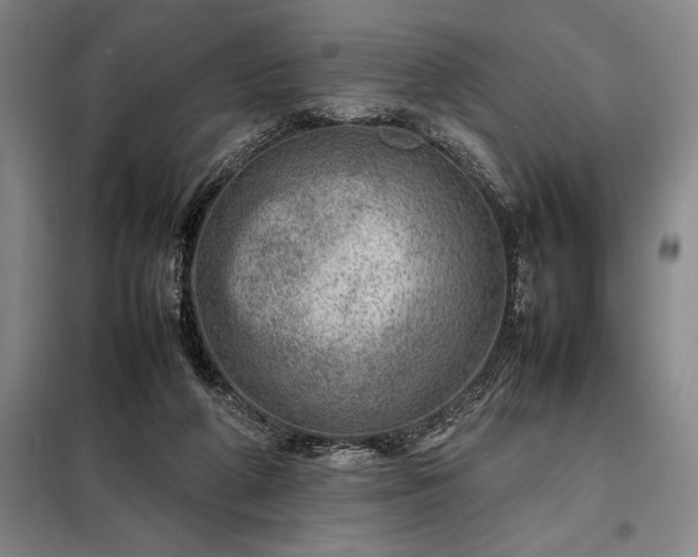 X0000098220210200805011242