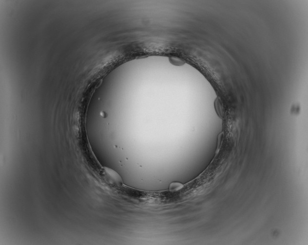 X0000098220211200805011242