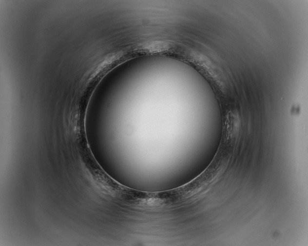 X0000098220212200805011242