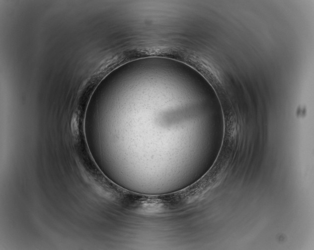 X0000098220214200805011242