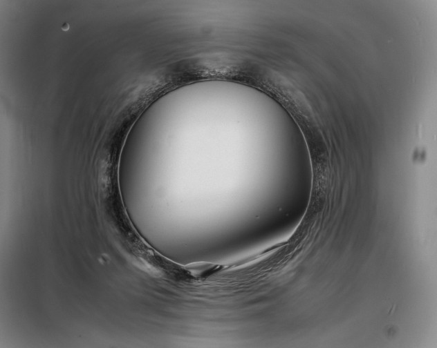 X0000098220215200805011242