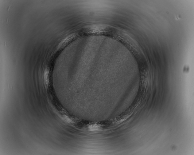 X0000098220216200805011242