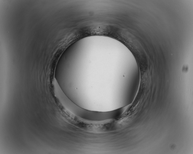 X0000098220217200805011242