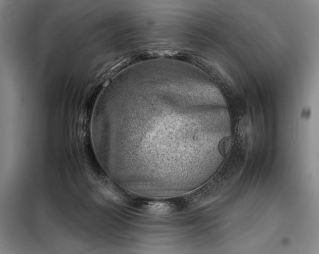 X0000098220218200805011242