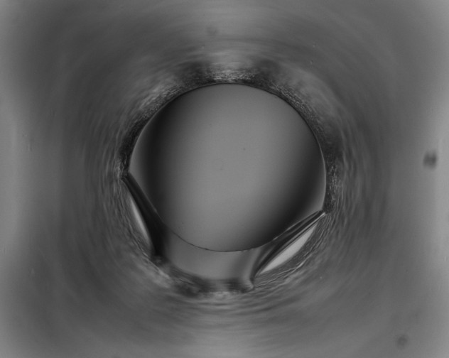 X0000098220219200805011242