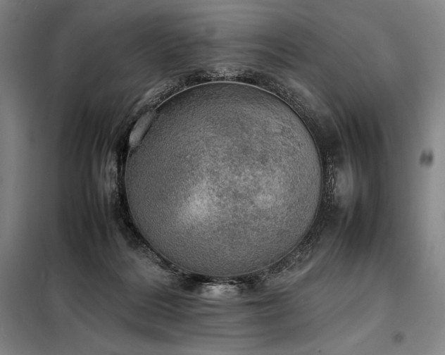 X0000098220220200805011242