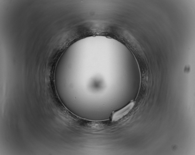 X0000098220221200805011242