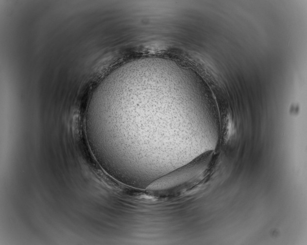 X0000098220222200805011242