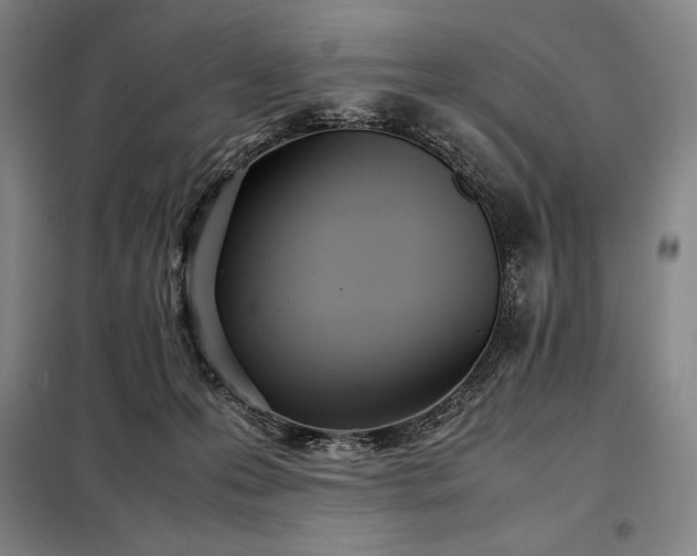 X0000098220223200805011242