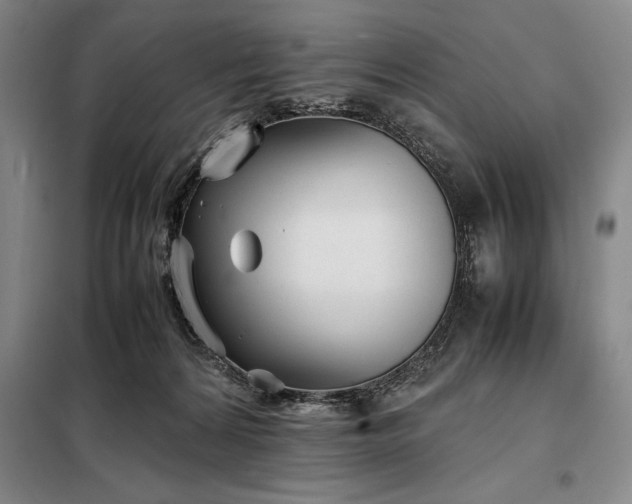 X0000098220224200805011242