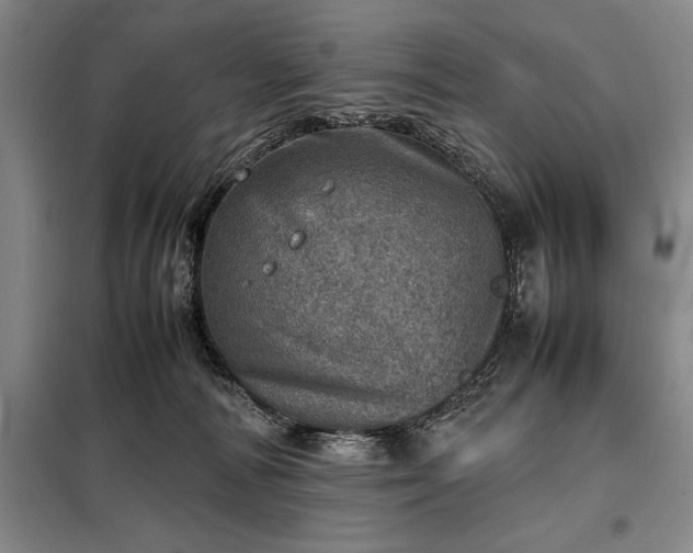 X0000098220226200805011241