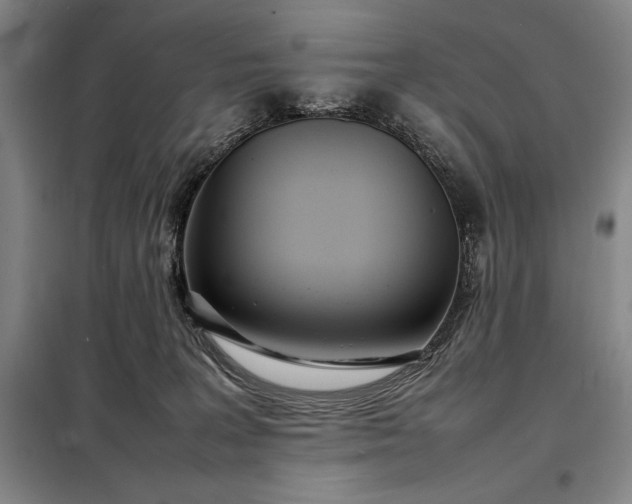 X0000098220227200805011241