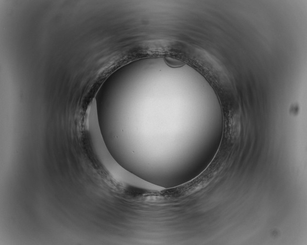 X0000098220228200805011241