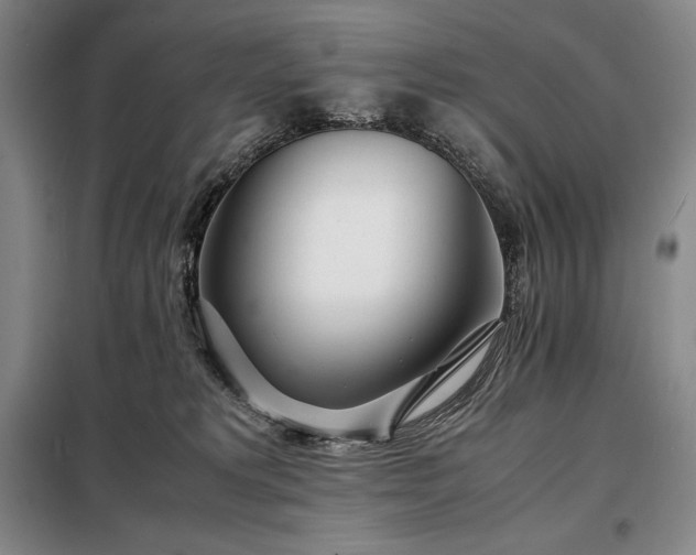 X0000098220229200805011241