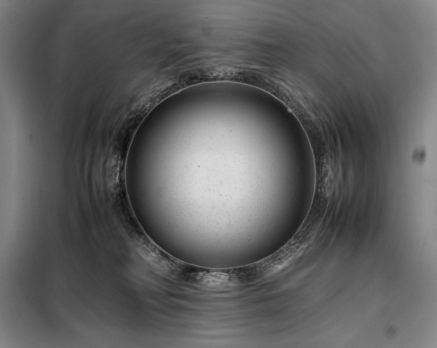 X0000098220230200805011241