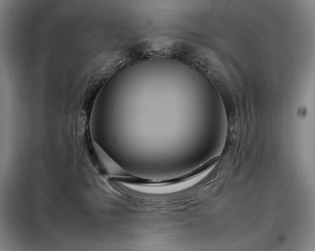 X0000098220231200805011241