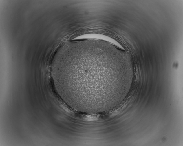 X0000098220232200805011241