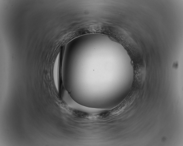 X0000098220233200805011241