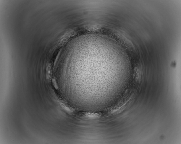 X0000098220234200805011241