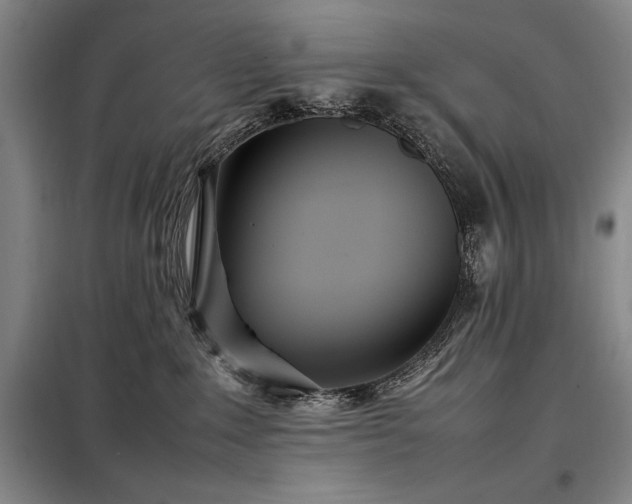 X0000098220235200805011241