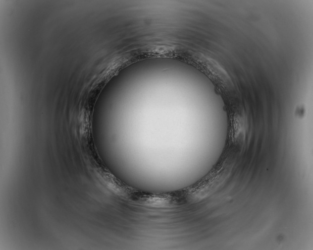 X0000098220236200805011241