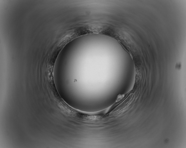 X0000098220237200805011241