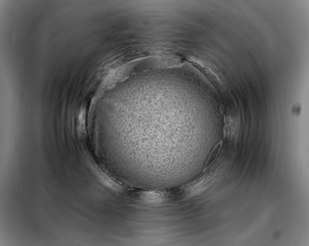 X0000098220238200805011241