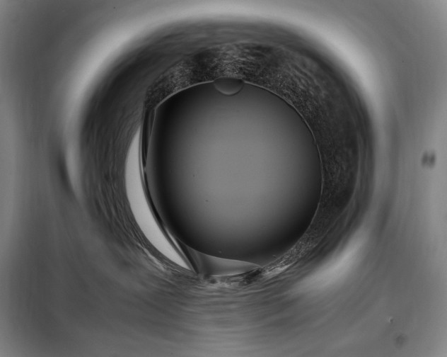 X0000098220239200805011241