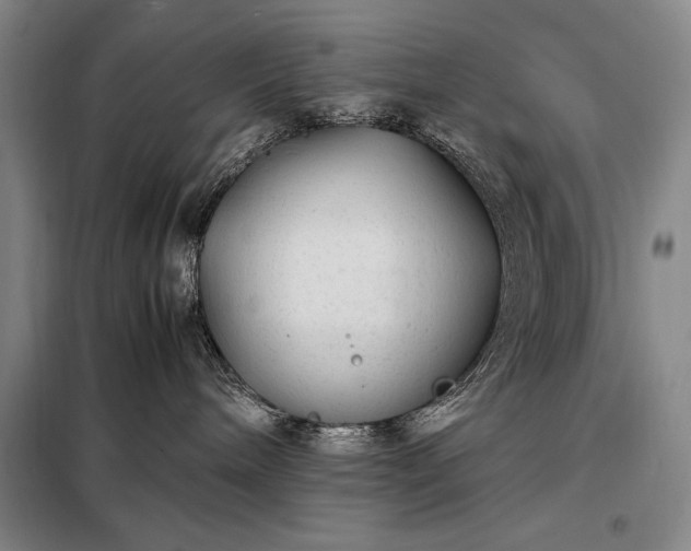 X0000098220240200805011241