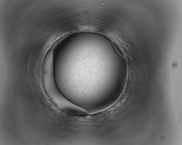 X0000098220241200805011241