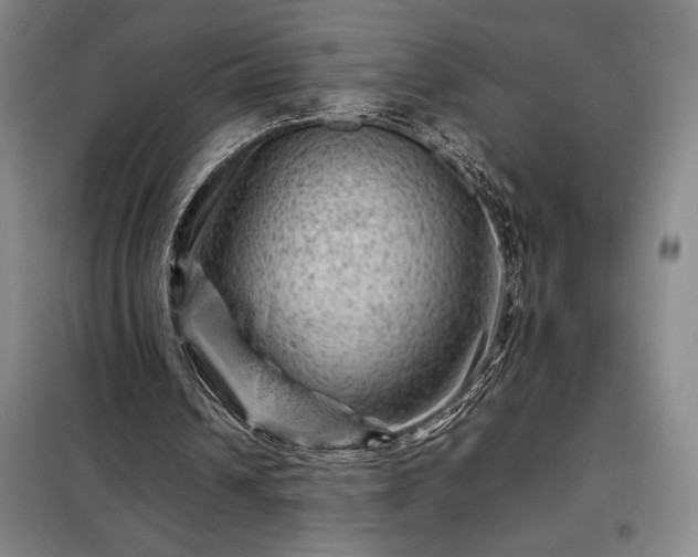 X0000098220242200805011241