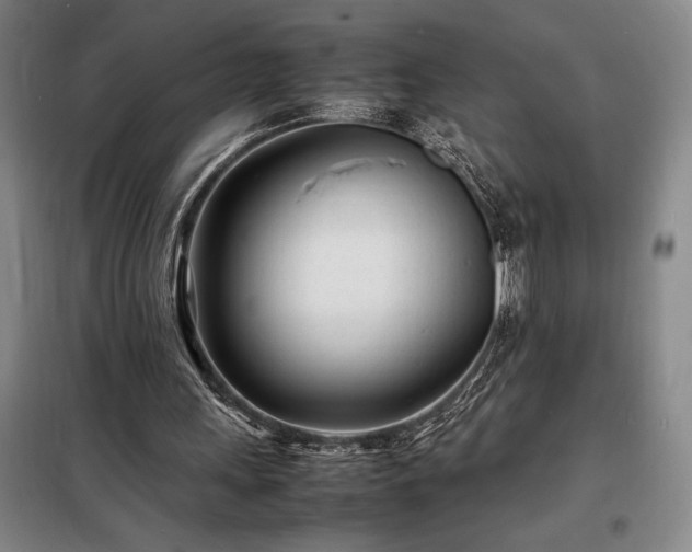 X0000098220243200805011241