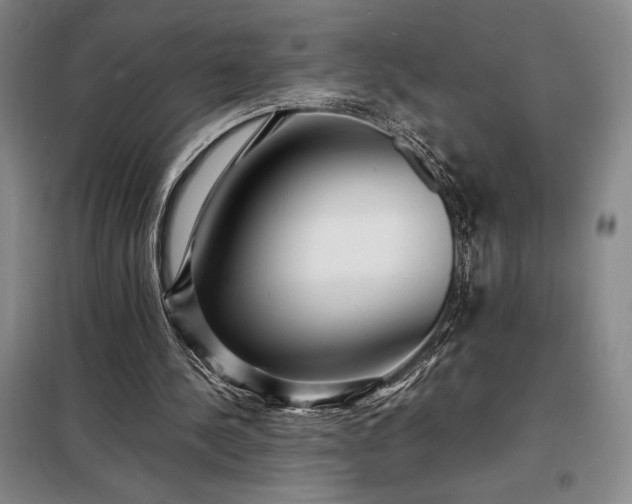 X0000098220244200805011241