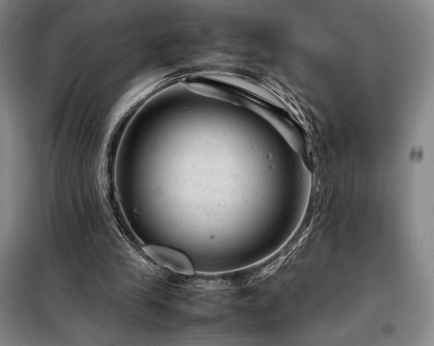 X0000098220245200805011241