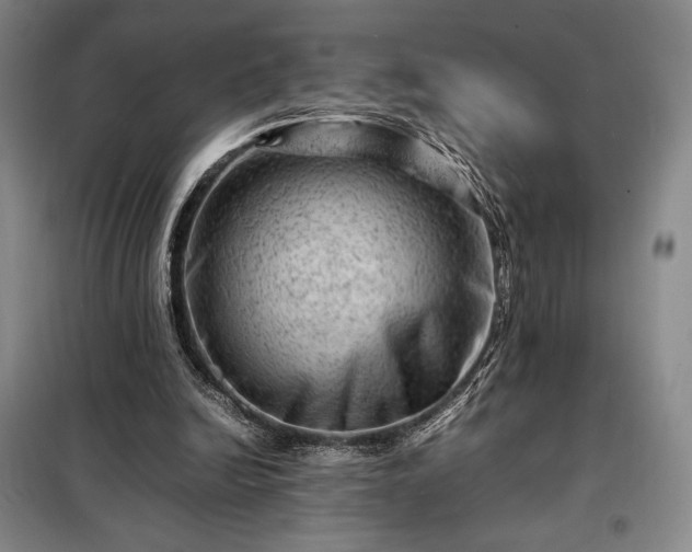 X0000098220246200805011241