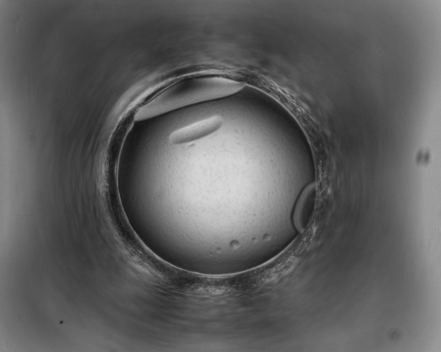 X0000098220247200805011241