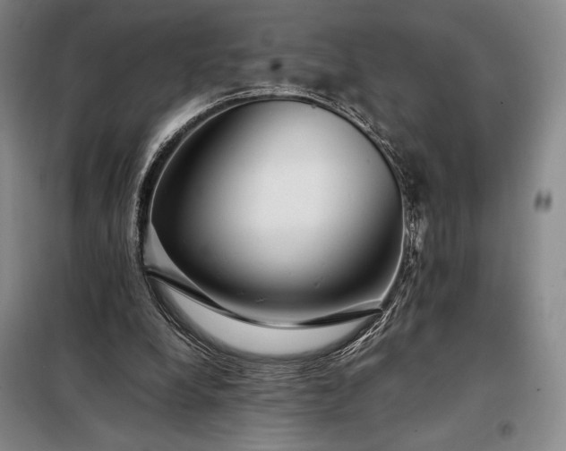 X0000098220248200805011241