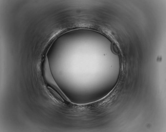 X0000098220249200805011241