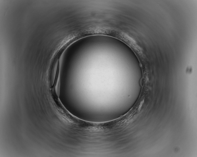 X0000098220250200805011241