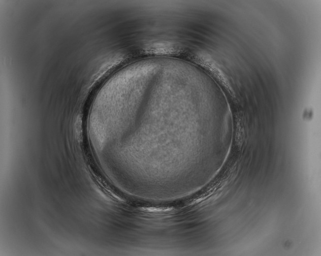 X0000098220251200805011241