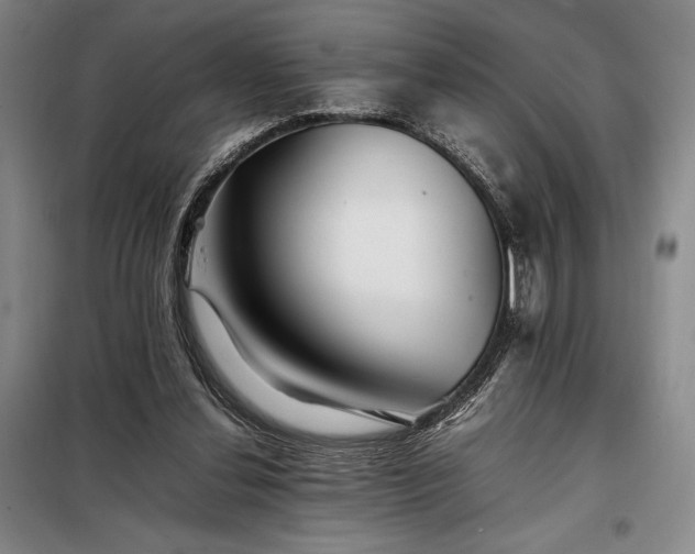 X0000098220252200805011241