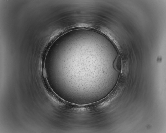 X0000098220253200805011241