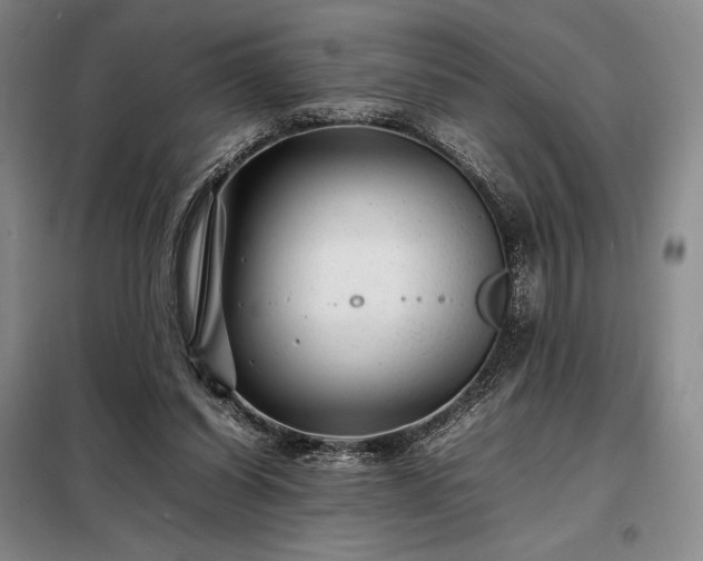 X0000098220254200805011241