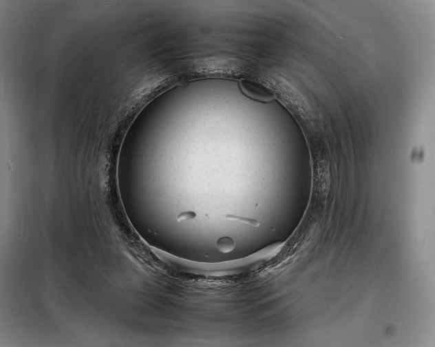 X0000098220255200805011241