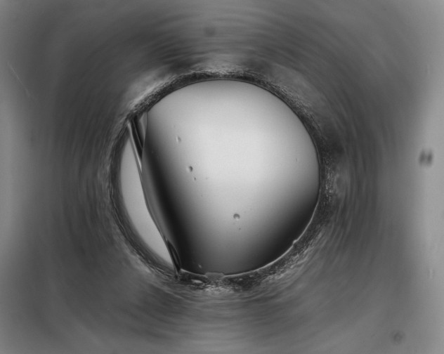 X0000098220256200805011241