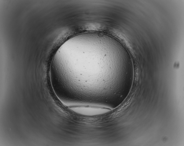 X0000098220257200805011241